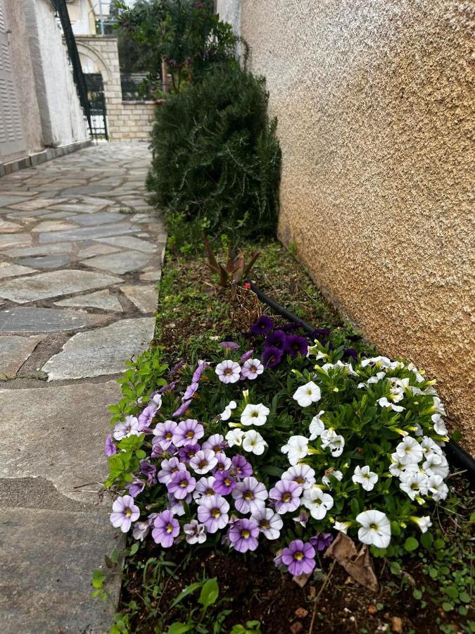 Dionysus Apartments & Studios Sívota Zewnętrze zdjęcie