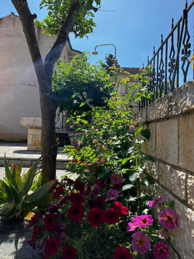 Dionysus Apartments & Studios Sívota Zewnętrze zdjęcie
